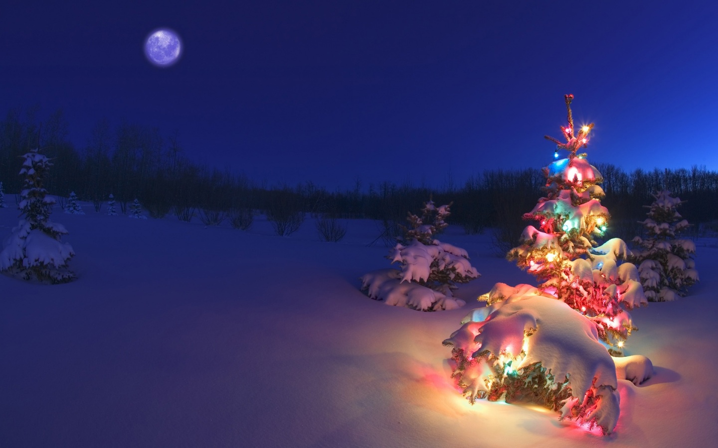 A wide, captivating shot of a snowy Montana landscape at night, featuring a small, heavily snow-covered evergreen tree dramatically illuminated with vibrant multi-colored LED Christmas lights. The deep blue sky and prominent full moon evoke the cold, magical feeling of a Bozeman winter night. This image is ideal for highlighting community light displays and the 