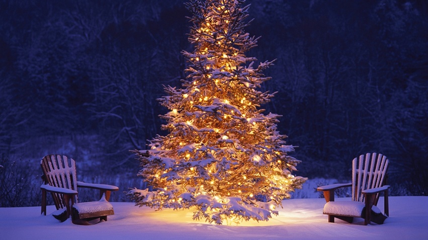 The quintessential Hallmark-movie scene: a magnificent, snow-covered outdoor Christmas tree ablaze with warm white lights, standing between two rustic, snow-dusted Adirondack chairs. The dark, snowy forest background and soft glow create a cozy, secluded winter atmosphere perfect for promoting Bozeman mountain lodge stays, sleigh rides, and the peaceful, snowy beauty of a Montana holiday getaway.