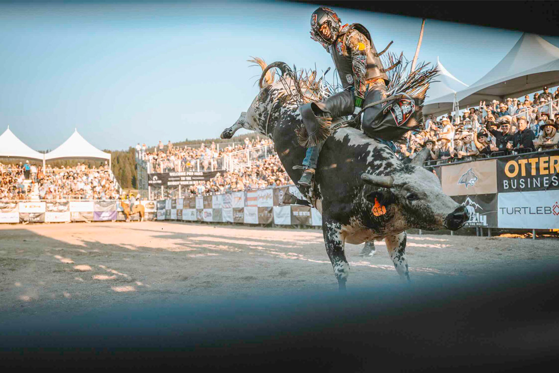 Bull rider competing at Big Sky PBR arena, Big Sky, Montana