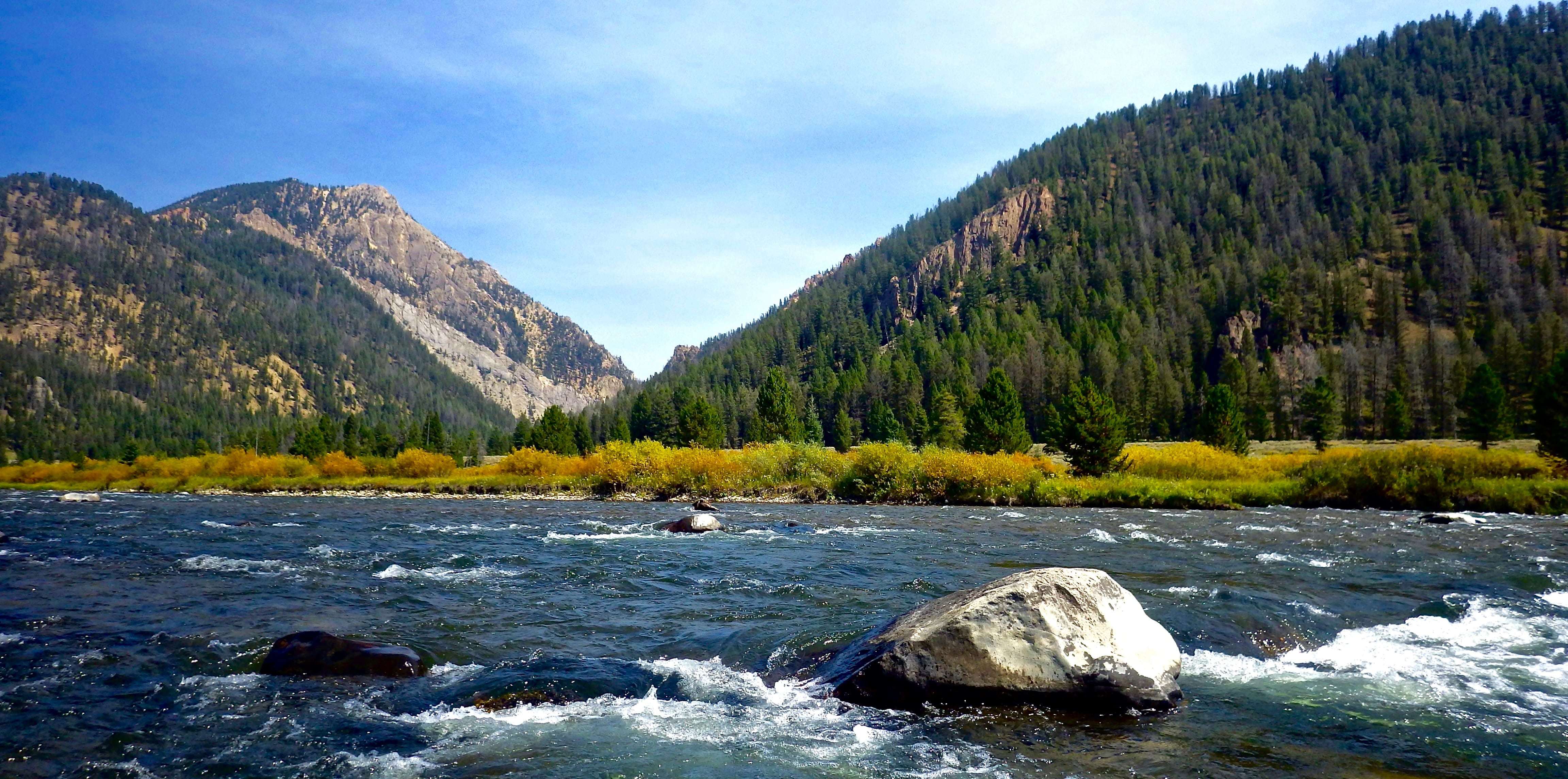 Scenic Riverside View From the Madison River in Autumn in Montana